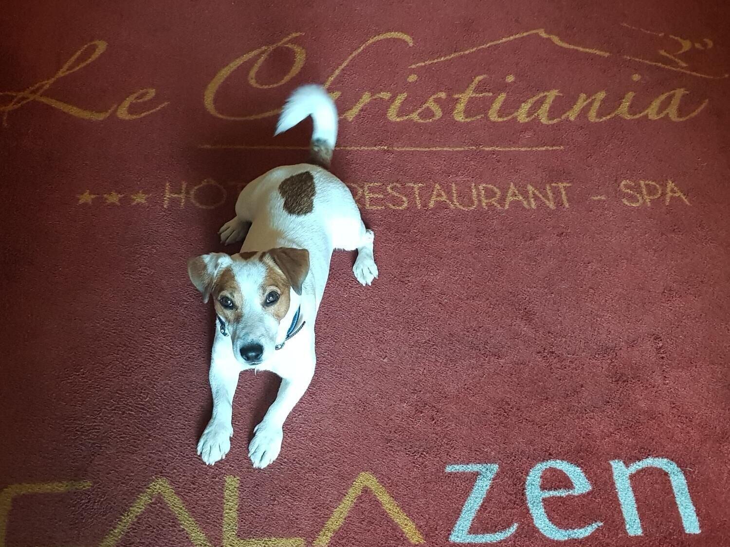 Le Christiania Hotel & Spa La Salle-les-Alpes Exteriér fotografie